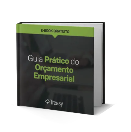E-book sobre importancia do orçamento empresarial com guia prático e branding Treasy