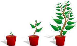 Plantas em crescimento progressivo representando evolução contínua do PDCA