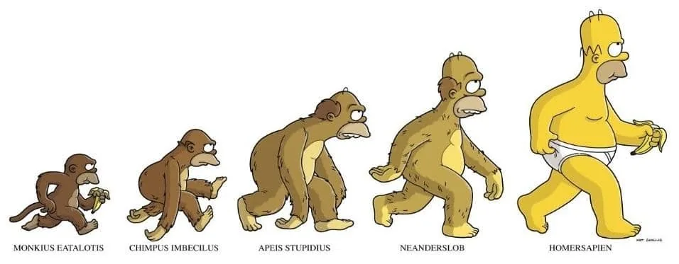 Evolução dos profissionais de gestão e implementação de sistema de gestão orçamentária