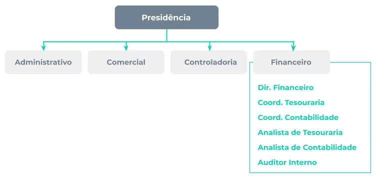 Organograma completo do departamento financeiro com posições especializadas