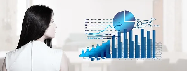 Análise profissional de cálculo margem bruta através de gráficos de dados