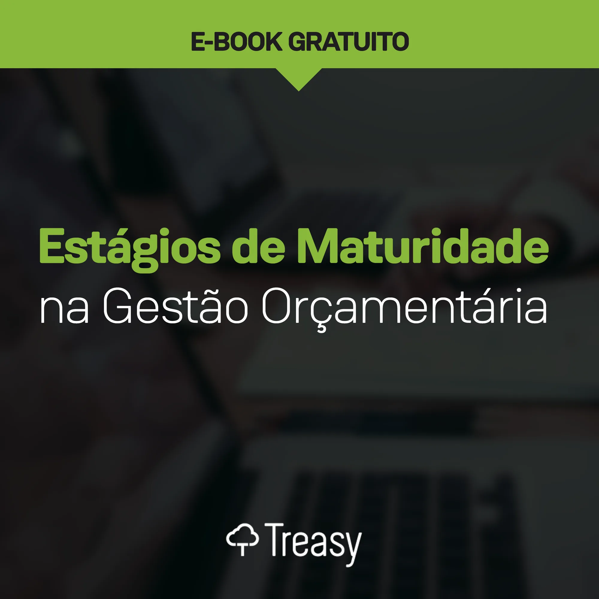 E-book maturidade financeira tema estágios maturidade gestão orçamentária