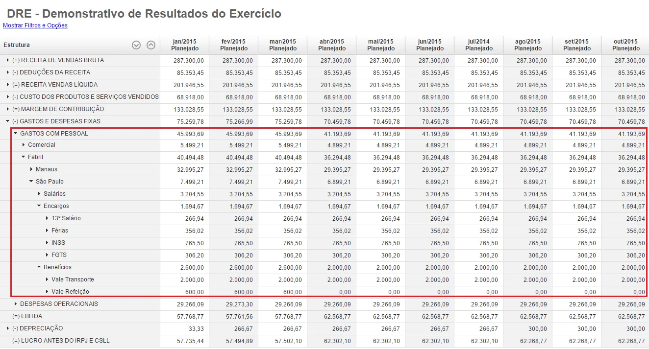 Demonstrativo de Resultados mensais com receitas custos e orçamento de pessoal