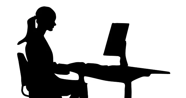 Silhueta de mulher trabalhando em computador representando gestor de instituição com fins lucrativos