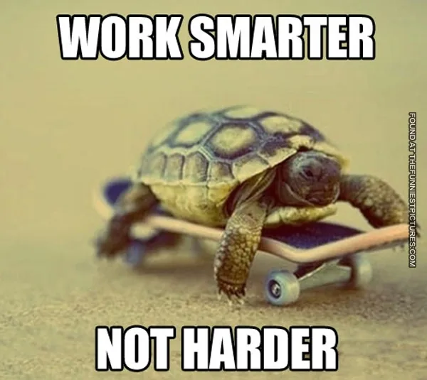 Tartaruga em skate meme Work Smarter ilustra orçamento de projeto exemplo prático