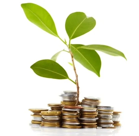 Planta verde moedas crescimento gestão orçamentária investimento retorno financeiro empresa